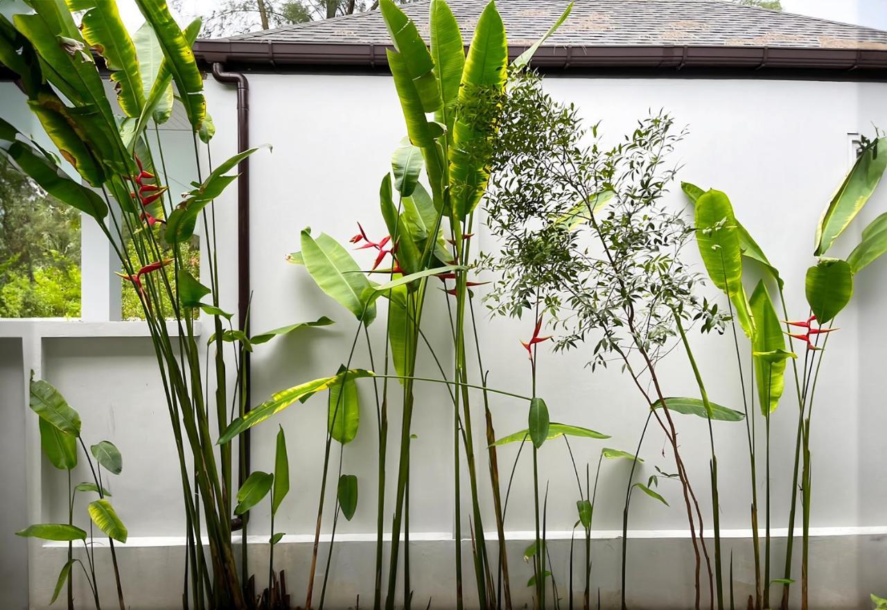 Ahimsa Villas 蔻立 外观 照片